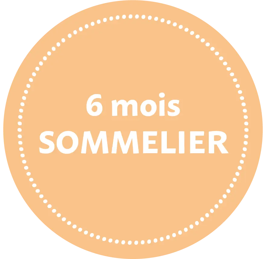 6 MOIS SOMMELIER